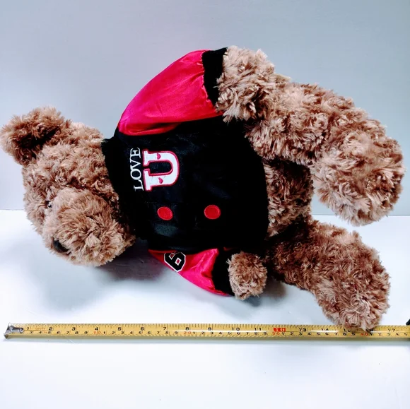 EUC Dan Dee Collector's Plush 17 " Brown Teddy Bear with Love U on the jacket - Picture 12 of 14